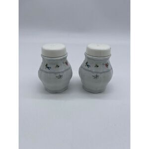 Ceramic Salt & Pepper Shakers Seltmann Weiden Bavaria W. Germany Antique